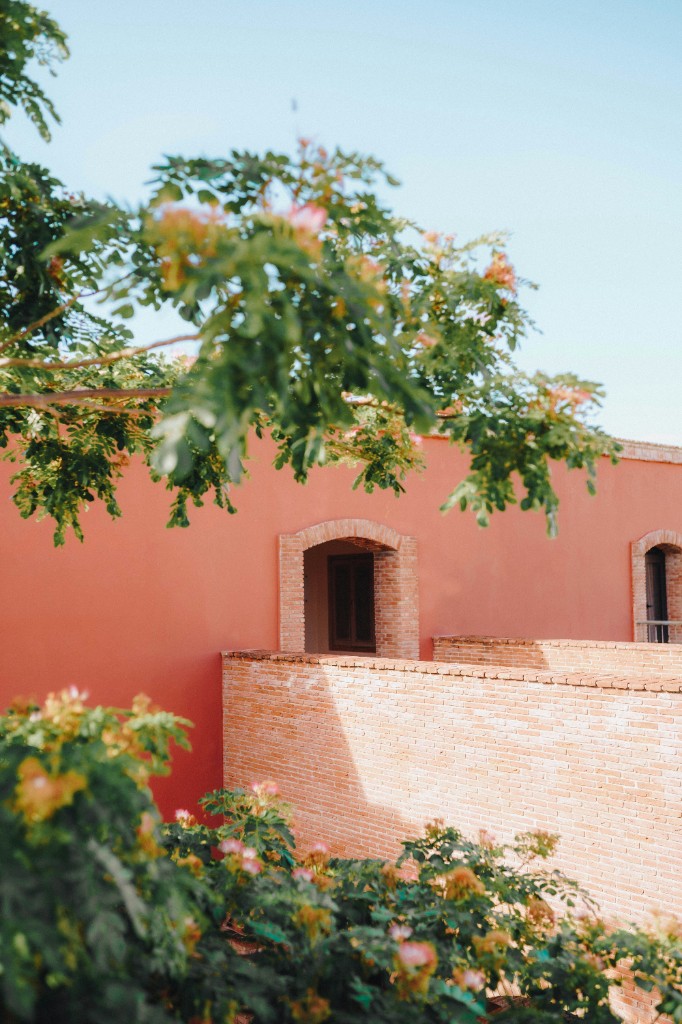 A coral stucco wall and brick, with flowering branches